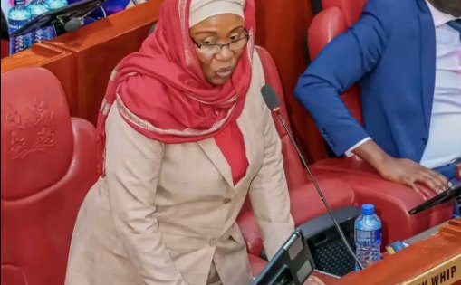 Senators demand swift probe into Utumishi fire tragedy