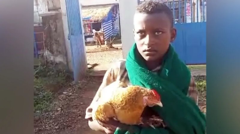 Boy wins hearts after trying to check sick chicken into Ethiopian hospital