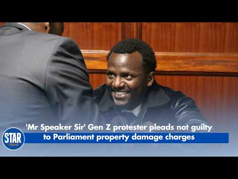 'Mr Speaker Sir' Gen Z protester pleads not guilty to Parliament property damage charges