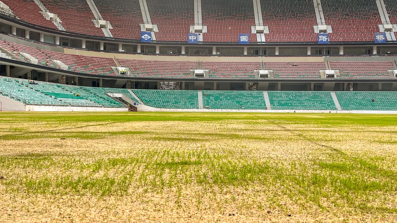Talanta Stadium: Newly planted  grass germinates