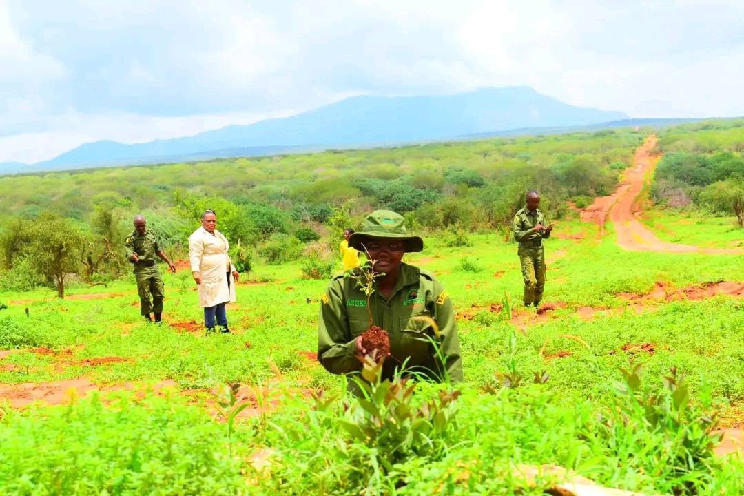 Court orders fresh survey of disputed land in Taita Taveta