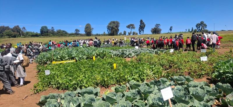 Egerton University nurtures future farmers through revitalised 4K Clubs