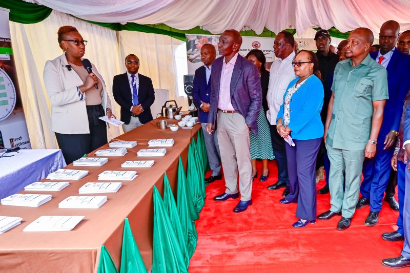 Ruto waives Sh1bn coffee debt for Kirinyaga farmers