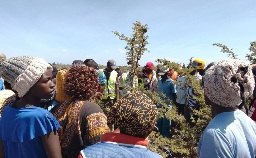 Deceased persons murdered elsewhere, bodies dumped in Kathiani - police