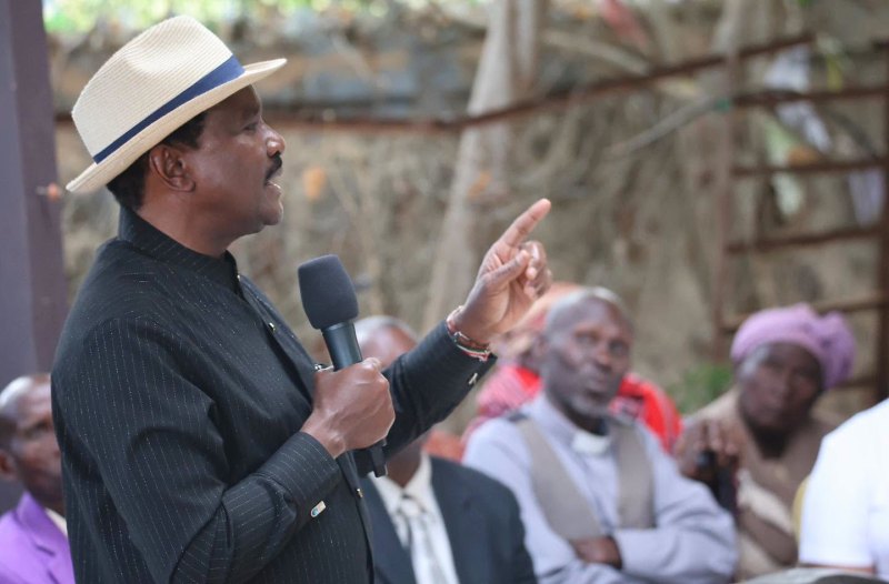 Kalonzo urges police restraint during June 25 demos