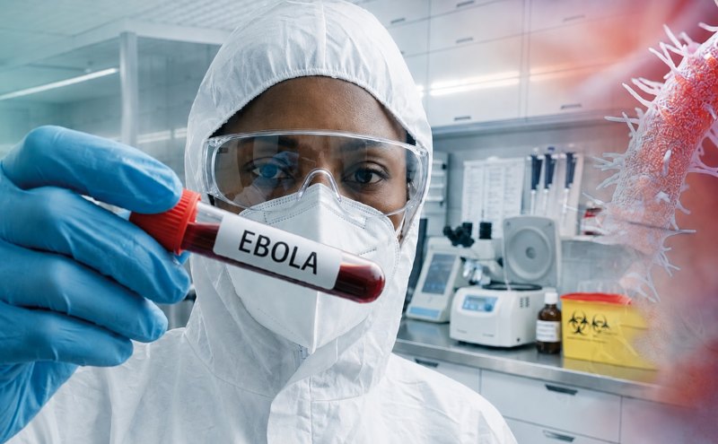 Hunt for a new Ebola vaccine: Two scientists explain the challenges