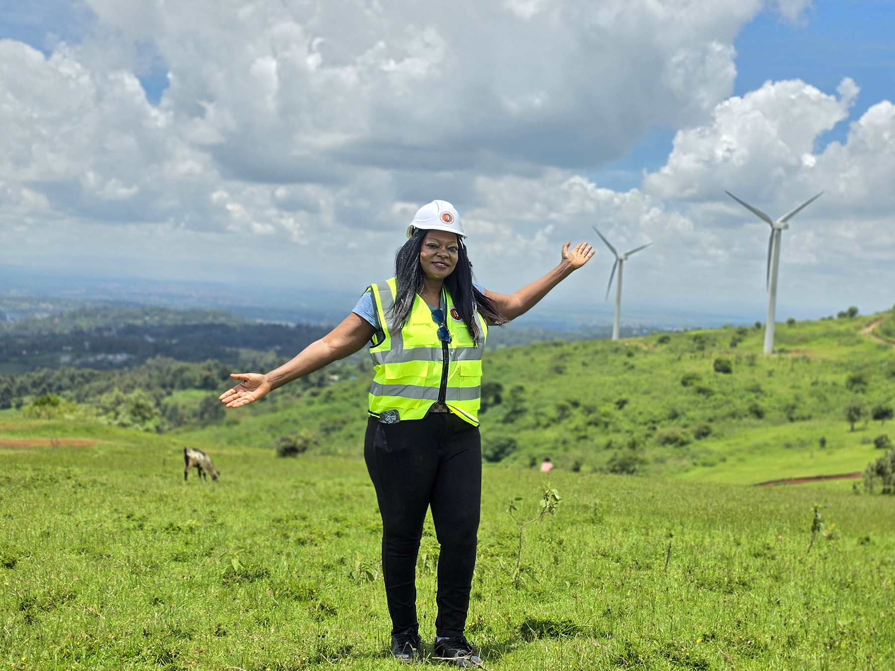 Engineer who helped shape Kenya’s renewable energy