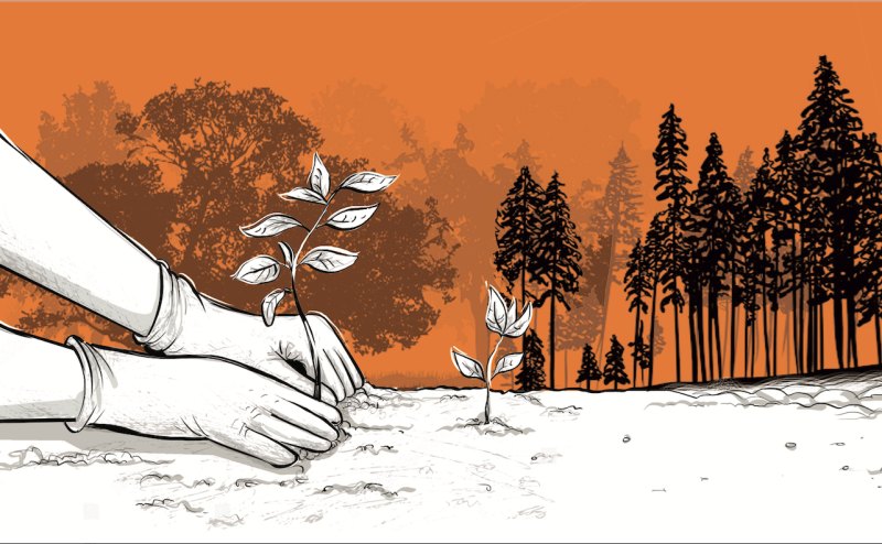 BASIYE: How adoption of green jobs is shaping industry