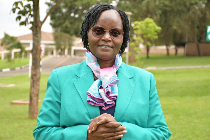 New platform simplifies access to GM crop, biosafety data in Africa