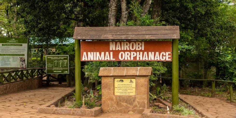 KWS defends Animal Orphanage relocation