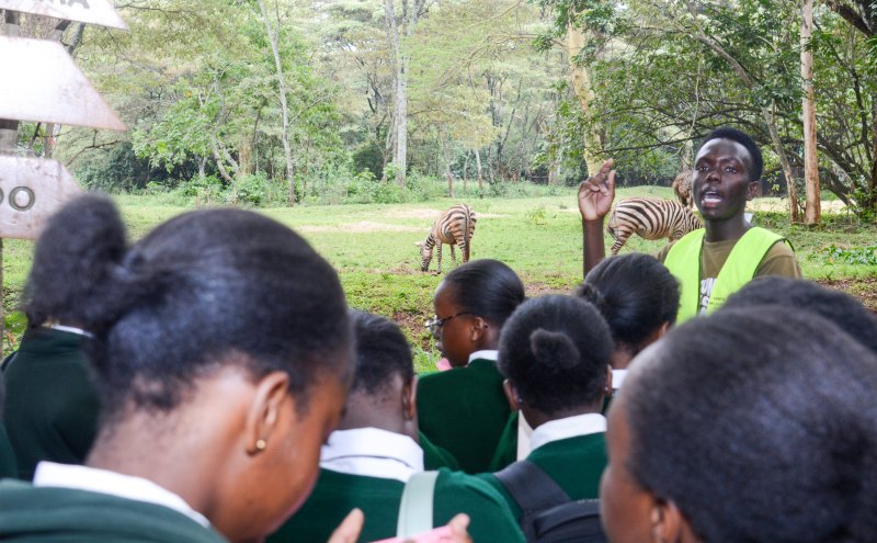 KWS launches subsidised park fees for students