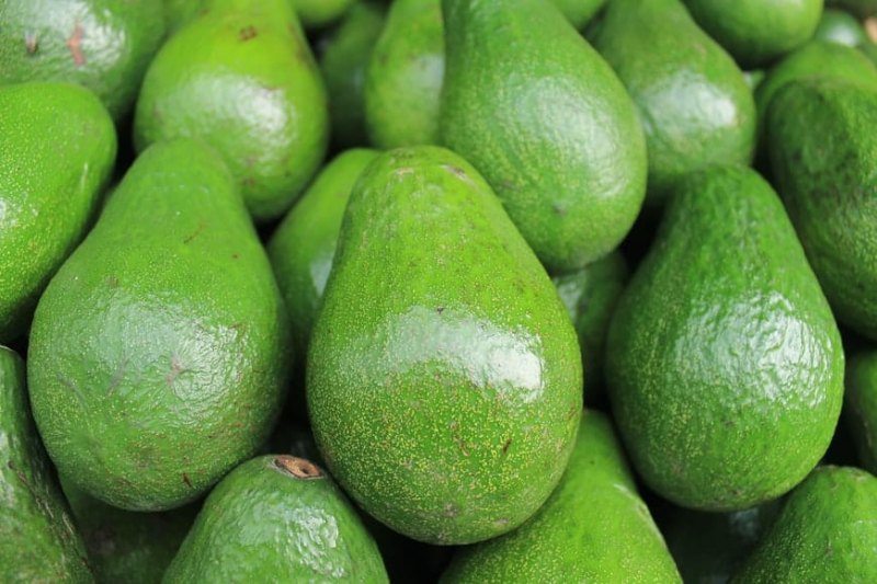 Avocado: A single ripe fruit chronicles China-Kenya’s path of shared prosperity