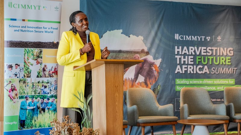 Africa summit calls for more investment to strengthen food security
