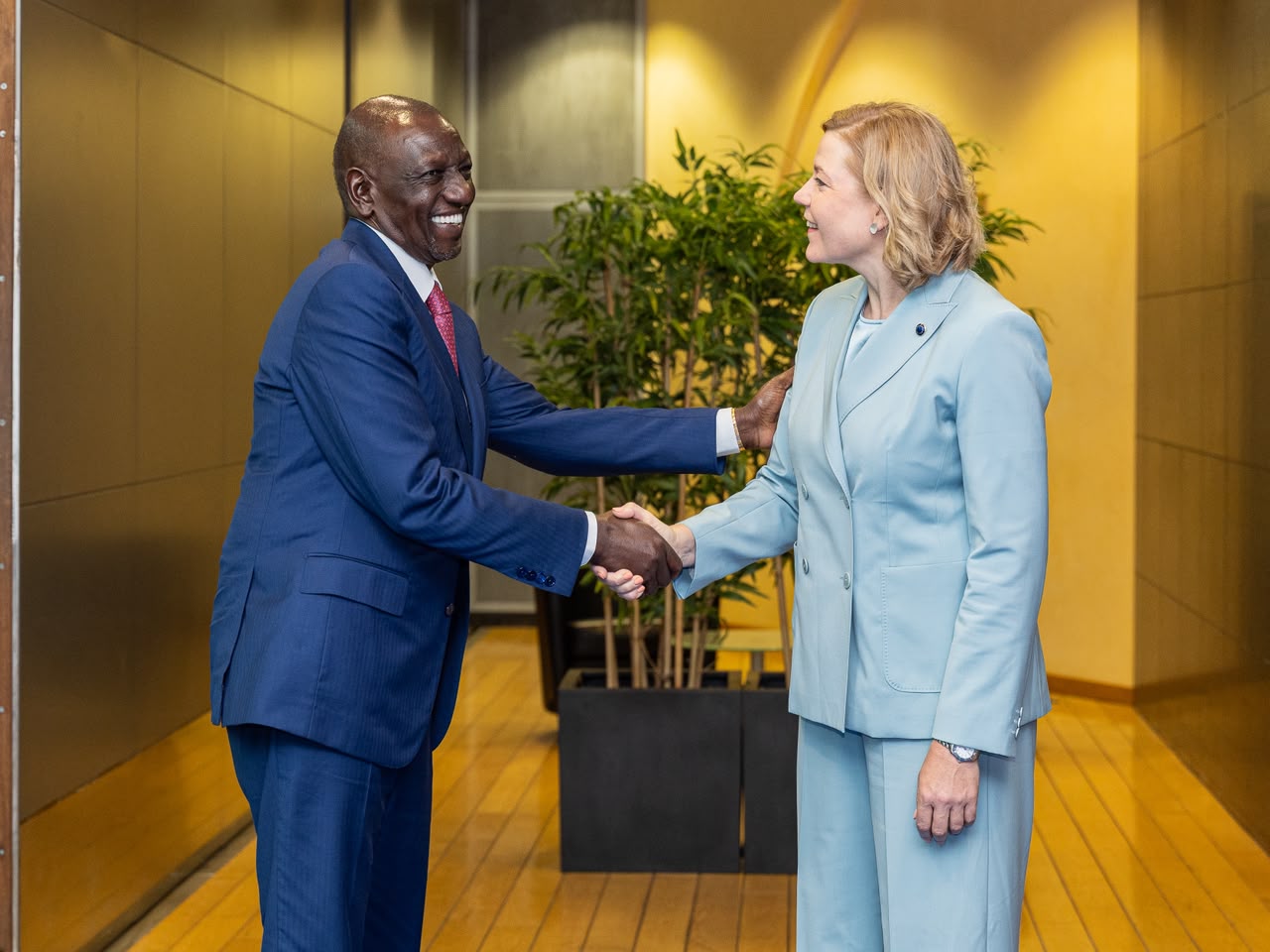 [PHOTOS] Ruto holds talks with EU tech chief