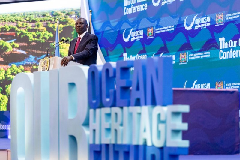 Kenya partners with US conservation group to build biogenic reefs