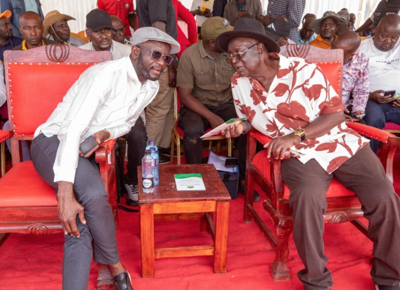 Oburu calls for return of the cane in schools