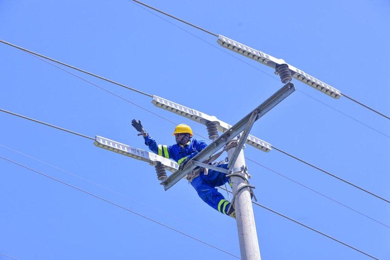 Kenya Power launches project to protect birds from electrocution