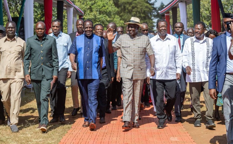 'No plan, just noise': Ruto hits out at critics