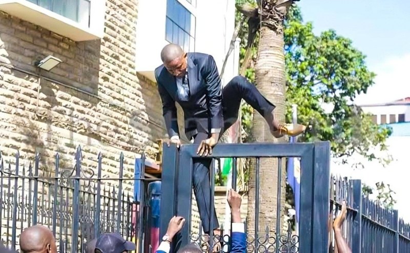Babu Owino Recalls Dramatic Moment He Jumped Parliament Fence