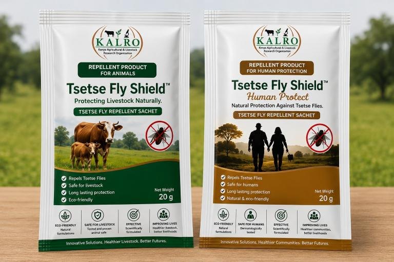 Scientists develop eco-friendly tsetse fly shield to boost livestock health