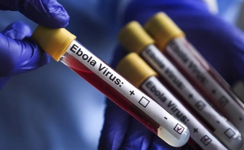Lobby raises concern over proposed Ebola facility,  national park