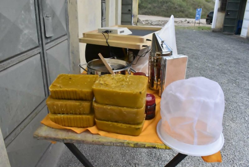 Ukambani farmers shun livestock for beekeeping