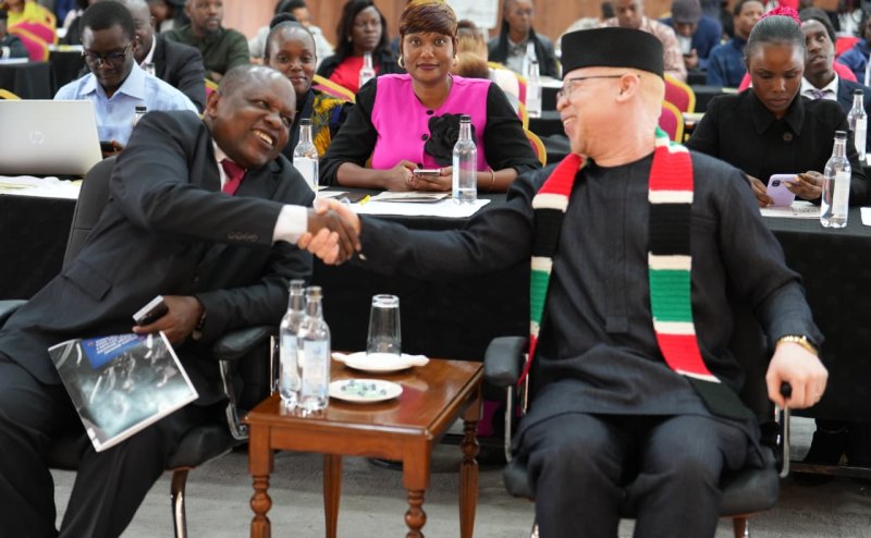 PWDs fight for inclusion into Kenya's political democratic processes