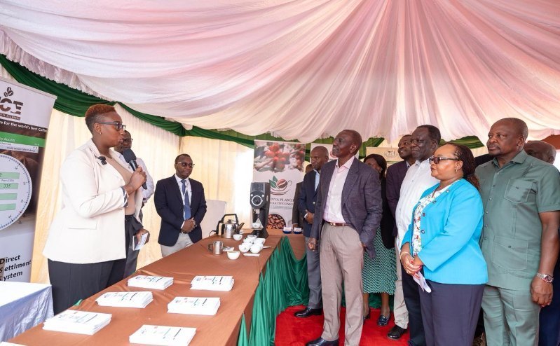 Ruto's plan to increase coffee earnings to Sh300 per kilo