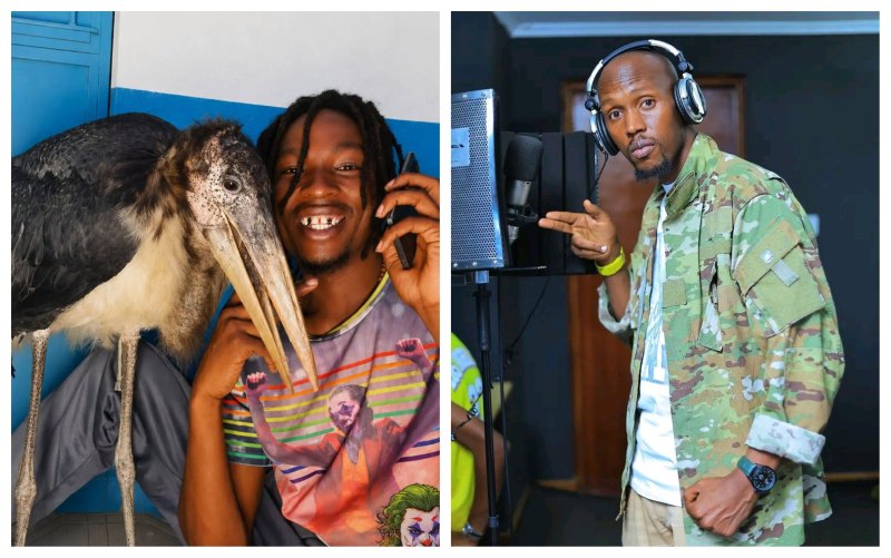 Why Mosiria Wants Nairobi Birdman to Surrender Birds in 24Hrs