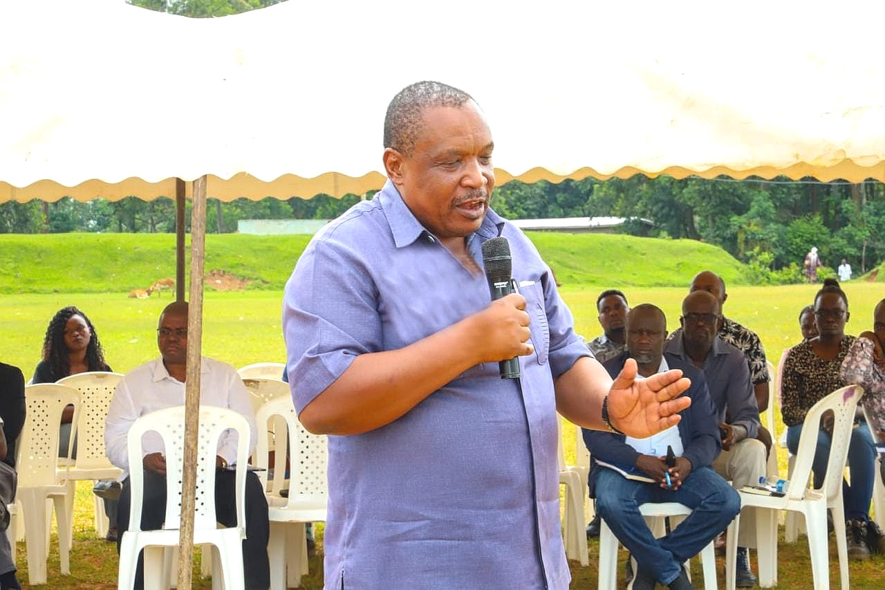 Kakamega assembly clears Sh680 billion gold mining project