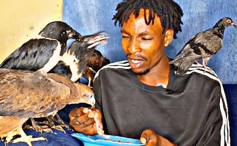 Nairobi Birdman Replies to KMPDU Over ‘Eating with Birds’ Risks