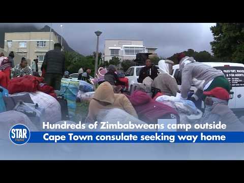 Hundreds of Zimbabweans camp outside Cape Town consulate Seeking way home