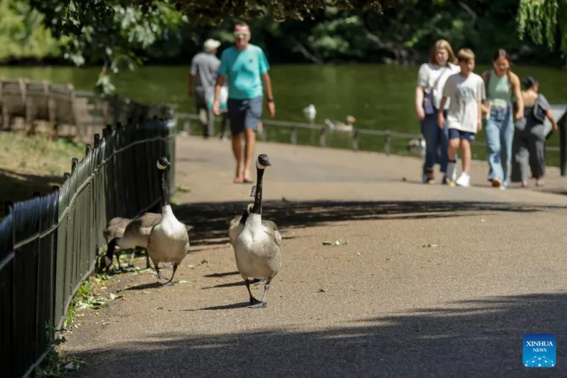 Another UK heatwave looms after cooler end to weekend