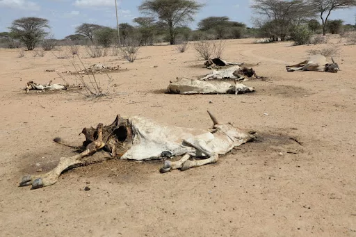State publishes first record of resources in dry counties