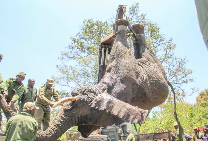 KFS calls for public participation over projects in protected forest