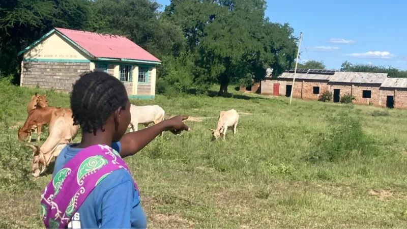 What is behind mass school closures in rural Kenya?