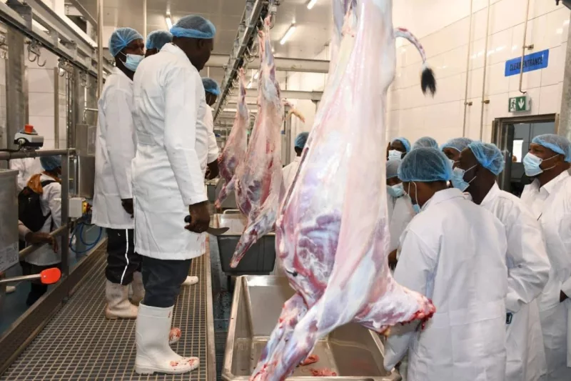 Isiolo export abattoir nears launch after successful test run