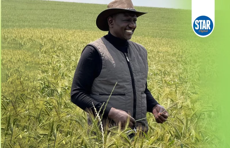 Irrigation surge in Kenya
