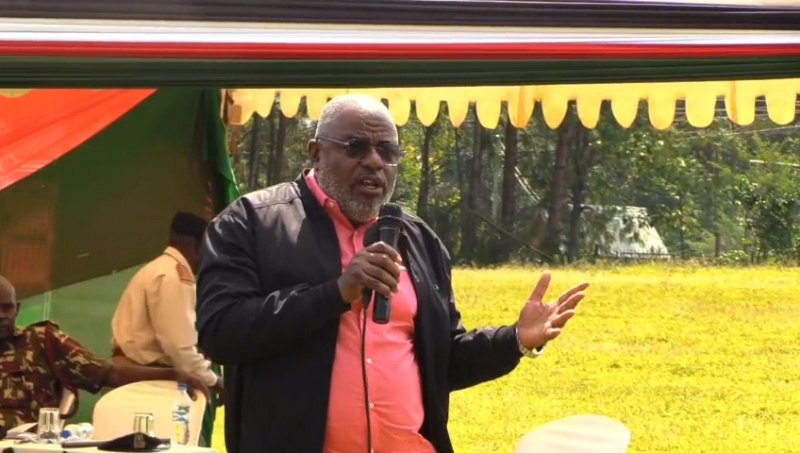 Senate seeks Mining Act changes