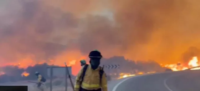 At least 11 dead in Spain wildfire