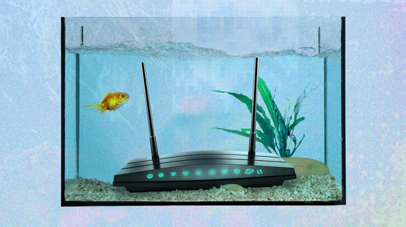 The weirdest things that mess up your wi-fi