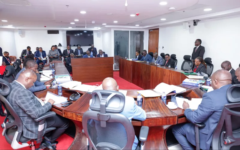 Foreign Affairs on the spot as PS grilled over recurring audit failures