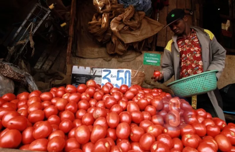 Fuel prices push up living cost as families budget pressure persists