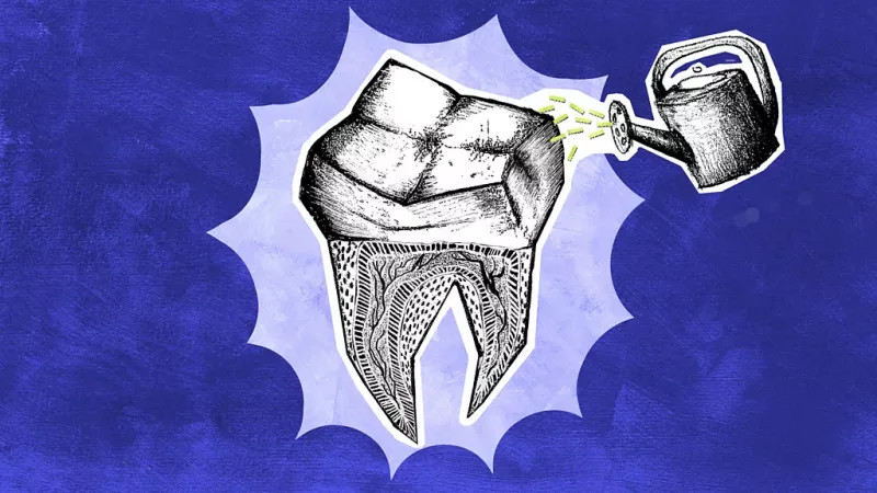 Scientists are regrowing human teeth