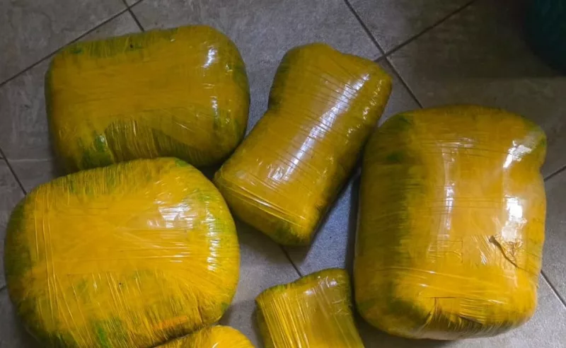 Cop arrested, suspected 20kg cannabis recovered