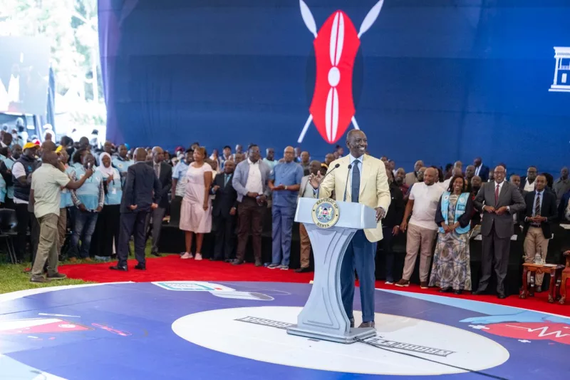 Ruto: Nairobi CHPs register 810,590 households