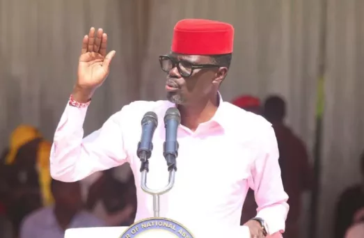 MP: Half of Opposition leaders will back Ruto by January