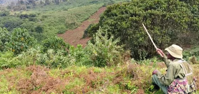 Murang'a seeks improved access to Aberdare Park