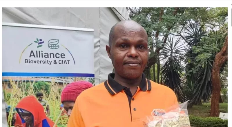 Embu trader creates thriving market for traditional crops