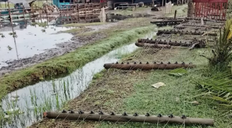 PG 23 STORY 1: Rising Rift Valley lakes trigger new climate adaptation push